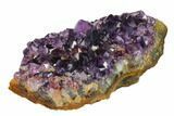 Dark Purple, Amethyst Crystal Cluster - Uruguay #139466-1